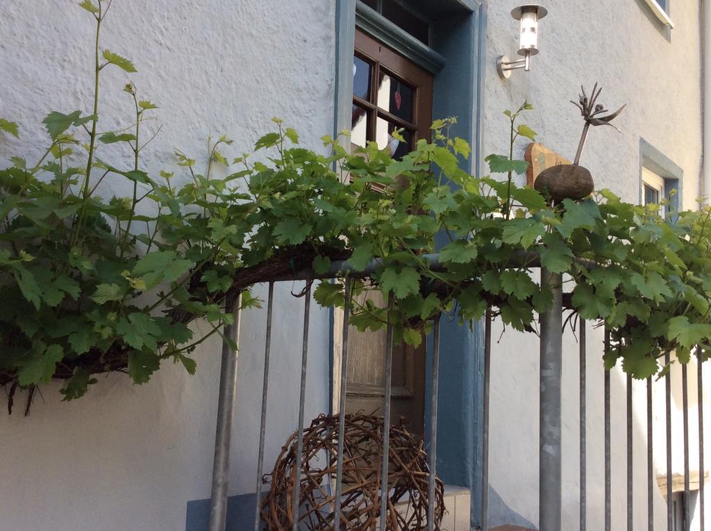 레일 Winzerhaeuschen, Weingut Th. Mueller 아파트 외부 사진