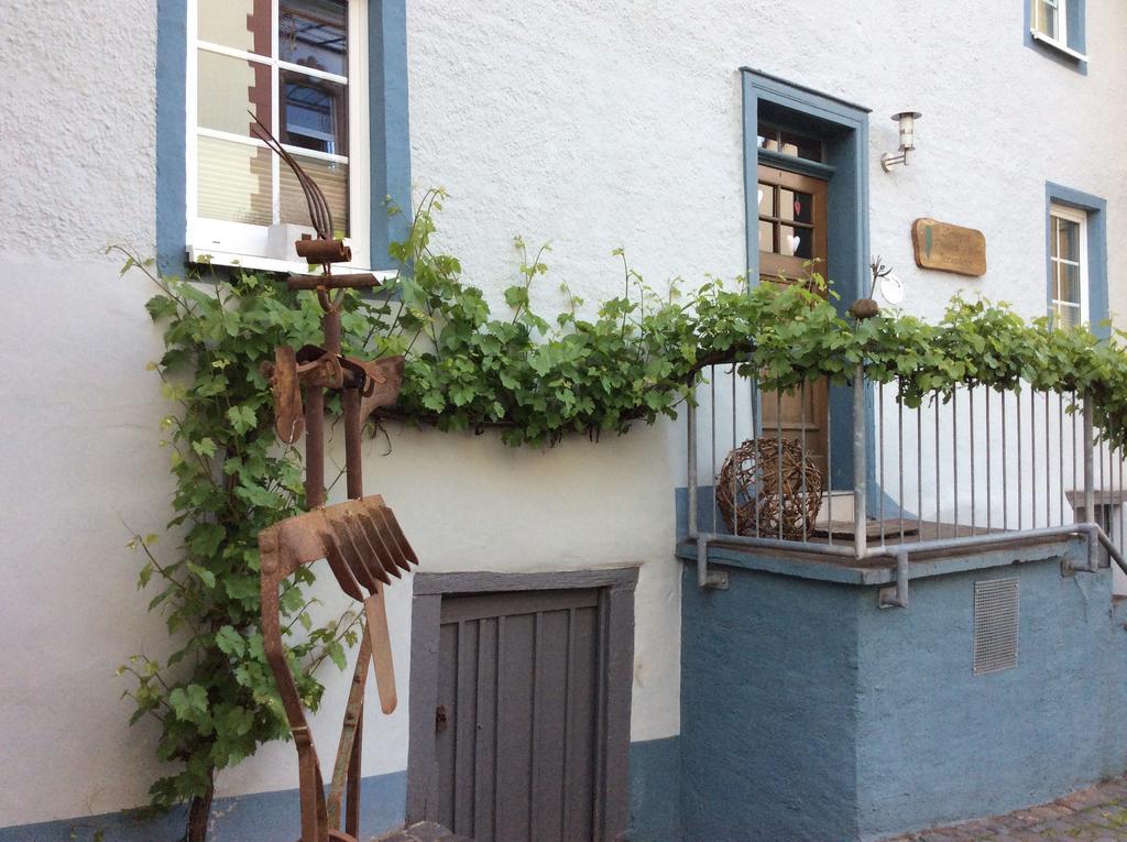 레일 Winzerhaeuschen, Weingut Th. Mueller 아파트 외부 사진